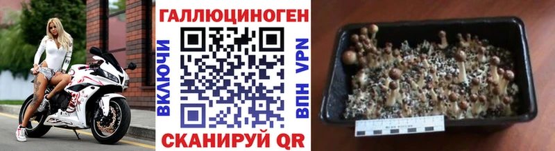Псилоцибиновые грибы MAGIC MUSHROOMS  Чаплыгин 